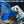 Load image into Gallery viewer, mummy Blue Textured Nitrile Gloves 4 Mil